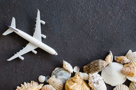 Summer travel concept. Decorative airplane and different seashells on dark concrete background. Top view, flat lay. Copy Space. Mock up.の写真素材