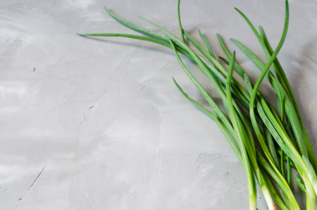 Fresh organic green onions freshly picked from garden bed. Bunch of spring onions on gray concrete...