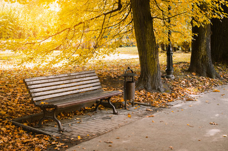 Bench in city park in autumn. Autumn Landscape. Beautiful autumn park at sunny weather.