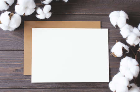 Mockup card with cotton flowers. Template invitation postcard and flowers. Natural, eco-friendly concept.の写真素材