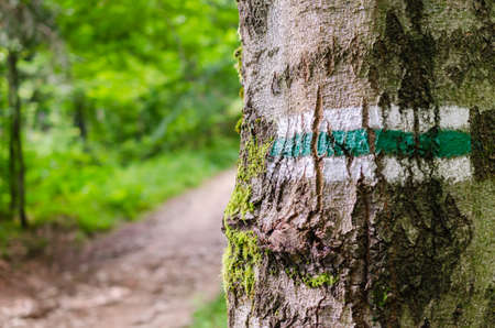 Marking the tourist route painted on the tree. Detail of touristic marking on green hiking trails. Forest navigating map.の写真素材