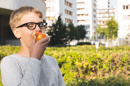 Schoolboy with glasses sitting on wooden bench outdoors and eating apple.の写真素材
