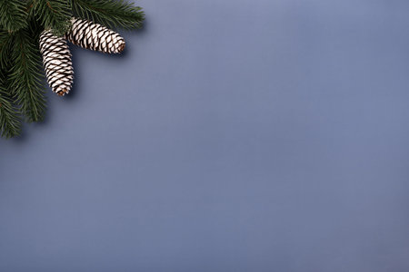 Christmas Mockup with fir branches and cones