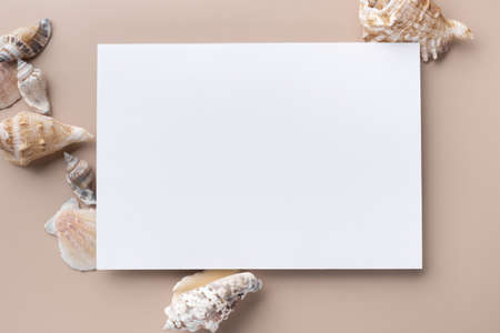 Mockup paper card with seashells. Flat layの写真素材