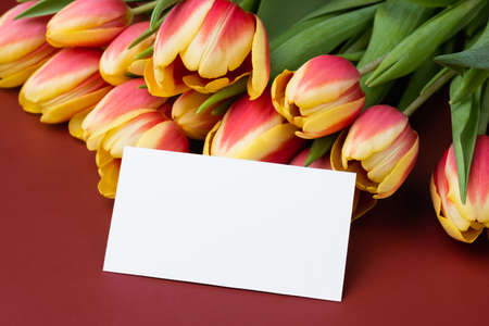 Clean minimal business card mockup with bouquet of tulipsの写真素材