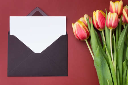 White Horizontal Card mockup or thank you card template in an envelope with bouquet of tulips on burgundy background.の写真素材