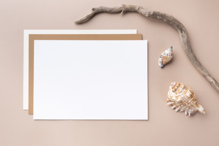 Minimal paper card mockup on beige background with branches and seashellの写真素材
