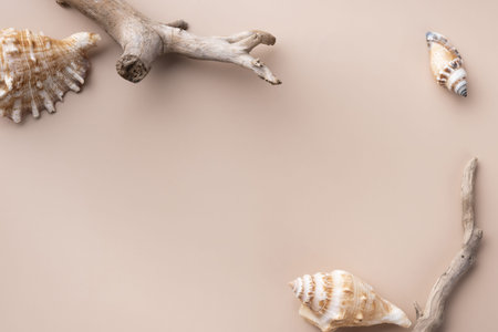 Mockup with dry branches and seashell on beige background