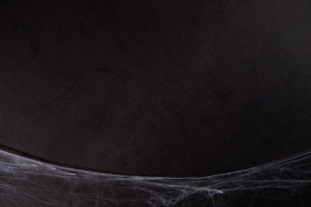 Grunge black paper background or texture with cobwebs for Halloweenの写真素材