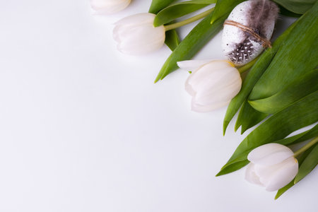 Festive composition with tulips and quail eggs. Easter backgroundの写真素材