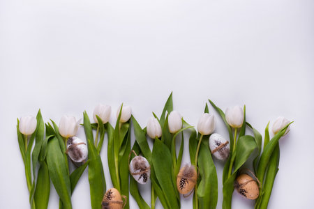 Festive composition with tulips and quail eggs. Easter backgroundの写真素材