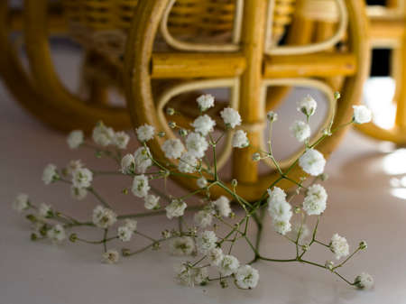 Colorful flowers on white bicycleの写真素材