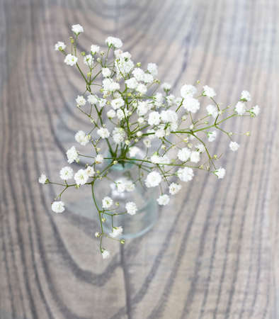 Unique Still Life of Different Glasswareの写真素材