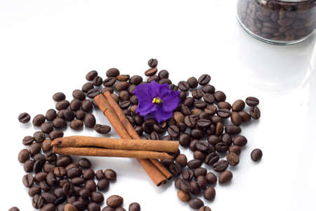 coffee beans with vanilla isolated on white backgroundの写真素材