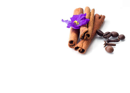 coffee beans with vanilla isolated on white backgroundの写真素材