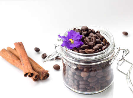 coffee beans with vanilla isolated on white backgroundの写真素材