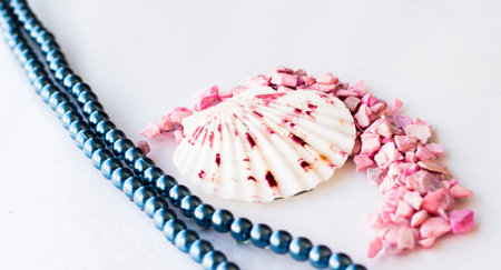beautiful pink stones and sea shells word sea