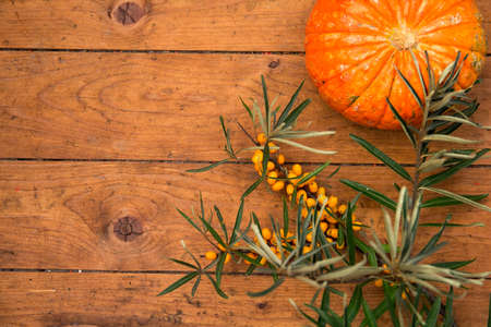 sea buckthorn and pumpkin on wooden backgroundの写真素材