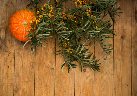 sea buckthorn and pumpkin on wooden backgroundの写真素材
