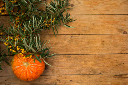 sea buckthorn and pumpkin on wooden backgroundの写真素材