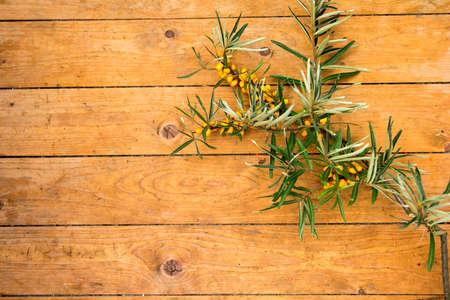ripe yellow sea-buckthorn berries on wooden backgroundの写真素材