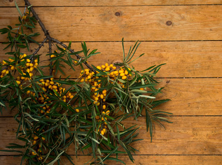 ripe yellow sea-buckthorn berries on wooden background