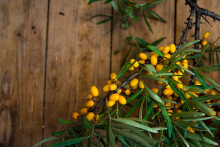 ripe yellow sea-buckthorn berries on wooden backgroundの写真素材