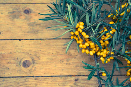 ripe yellow sea-buckthorn berries on wooden backgroundの写真素材