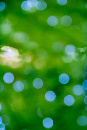 bright colored abstract blurred background for a holidayの写真素材