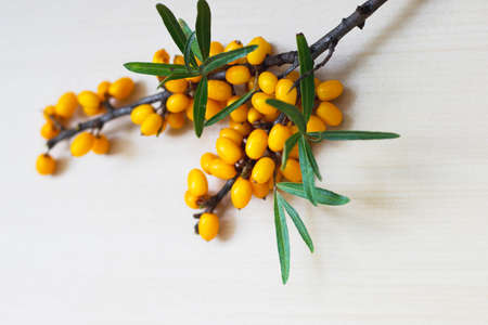 ripe yellow sea-buckthorn berries on a wooden backgroundの写真素材