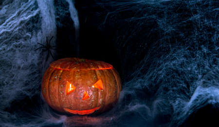 Halloween Pumpkin In A Mystic Forest At Nightの写真素材