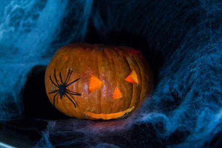 Halloween Pumpkin In A Mystic Forest At Nightの写真素材