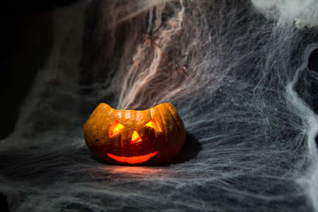 Halloween Pumpkin In A Mystic Forest At Nightの写真素材