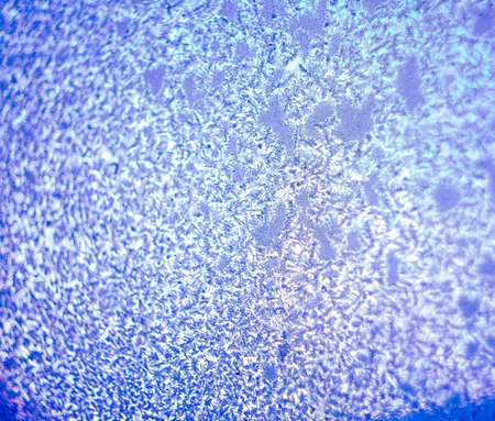 beautiful blue frost pattern for the backgroundの写真素材