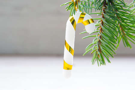 new year, Christmas background for greeting cards on the treeの写真素材