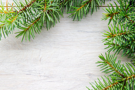 fir branch on wooden, decoration, Christmas blank background
