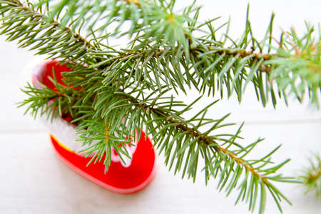 new year, Christmas background for greeting cards on the treeの写真素材