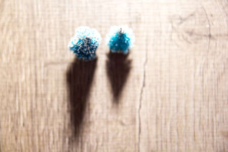 two Christmas trees on the background of bright Christmas gifts, bright colored lights, place under the text as substrateの写真素材