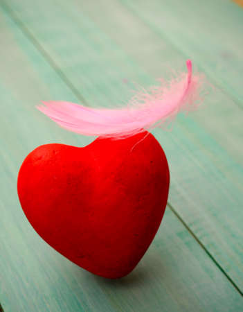 red heart one closeup, it is a pink feather, the concept of love, Valentines day, wedding, blue backgroundの写真素材