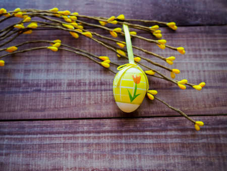 Easter eggs on wooden backgroundの写真素材