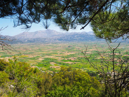 Summer mountain peak green, hilly landscape of traveling to Greece, Beautiful pine trees in the mountains, creetの写真素材