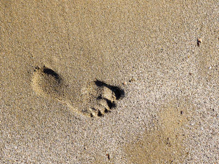 Footprints in the sand, aloneの写真素材
