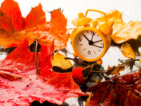 clock with leaves time change, Alarm clock in colorful autumn leaves.の写真素材