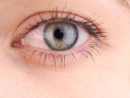 Close-up of eye, the human eye sideways,girl's eyes with big eyelashes, natural beauty.の写真素材