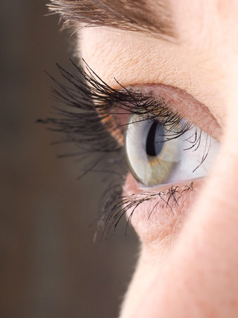 Close-up of eye, the human eye sideways,girl's eyes with big eyelashes, natural beauty.