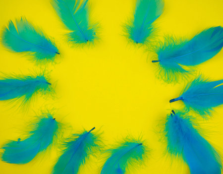 blue feathers on background, soft, as background, Valentine's day