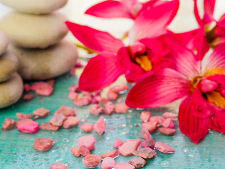 stones for Spa background, flowers, space, a delicate light blue colorの写真素材