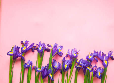 Floral pattern of yellow flowers, on a pink background, pattern flowersの写真素材