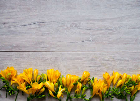 blue irises on a wooden background, as an underlay, background, patterns, flowers, space for textの写真素材