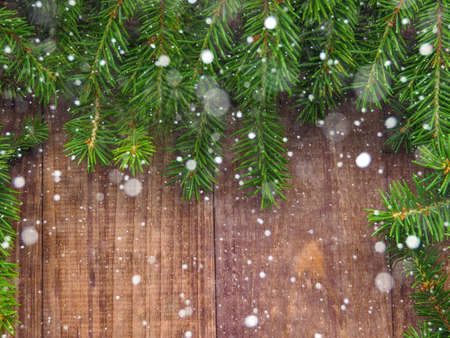Christmas tree background, Christmas wooden background with snow fir treeの写真素材